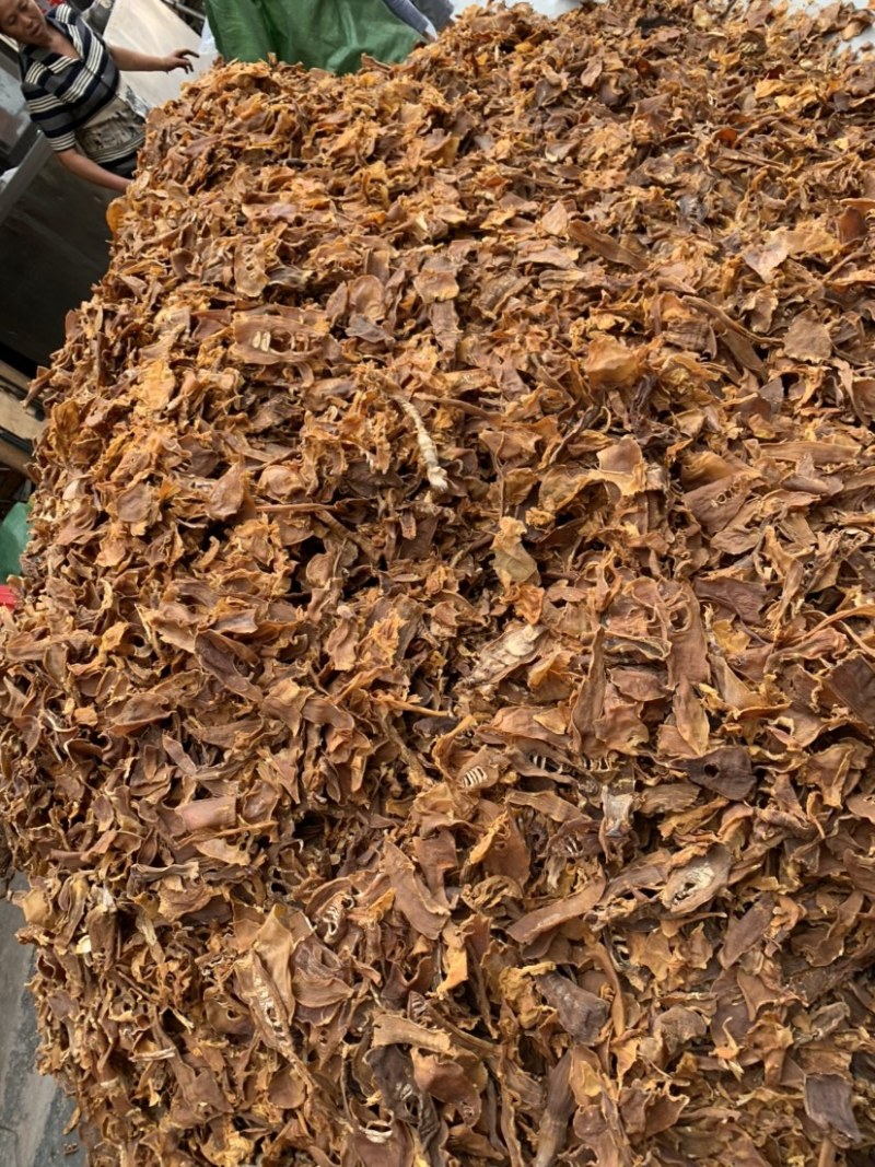 南竹笋子干货笋尖笋片足干气味香浓