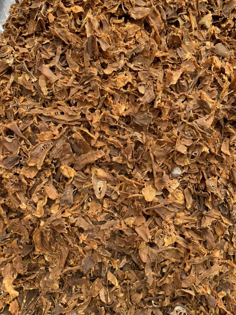 南竹笋子干货笋尖笋片足干气味香浓