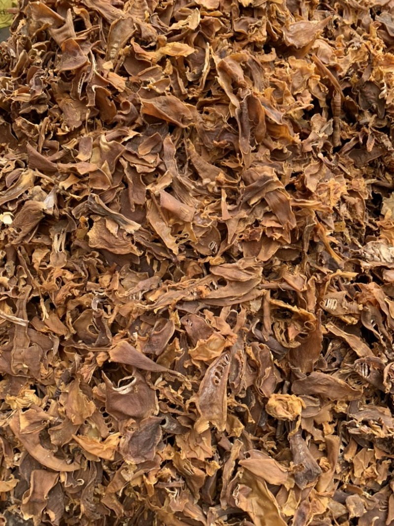 南竹笋子干货笋尖笋片足干气味香浓