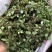 野生抱石莲抱石草石瓜子草抱石莲抱石莲