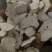 山药片山东自家加工的山药片价格优惠品种多欢迎联系