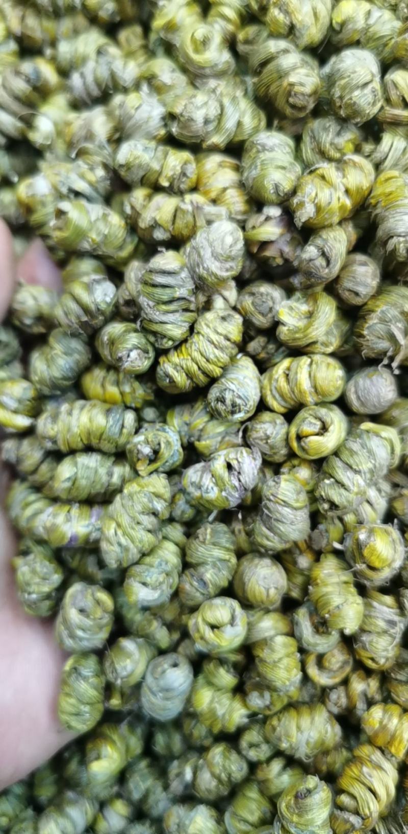 纯手工铁皮石斛枫斗品类齐全可带打粉、包装