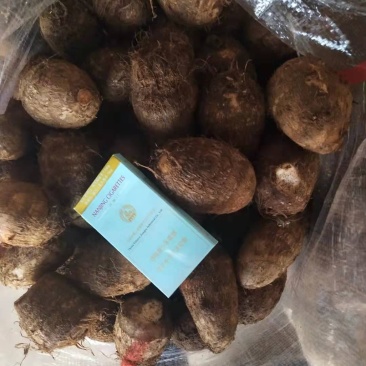 山东芋头大球中球小球二母统货保证质量全国发货