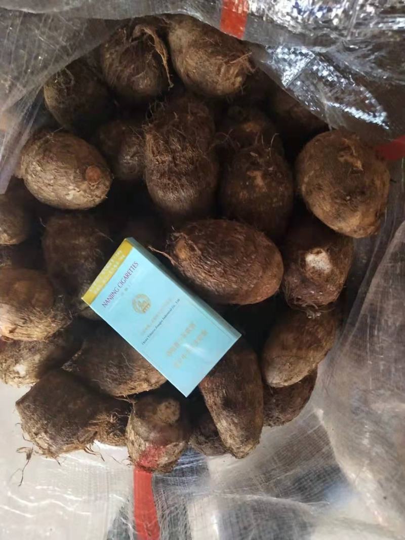 山东芋头大球中球小球二母统货保证质量全国发货