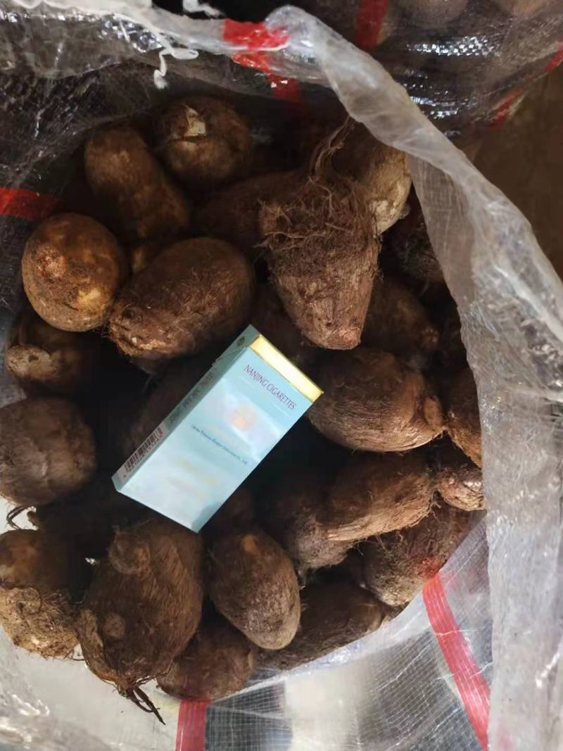山东芋头大球中球小球二母统货保证质量全国发货