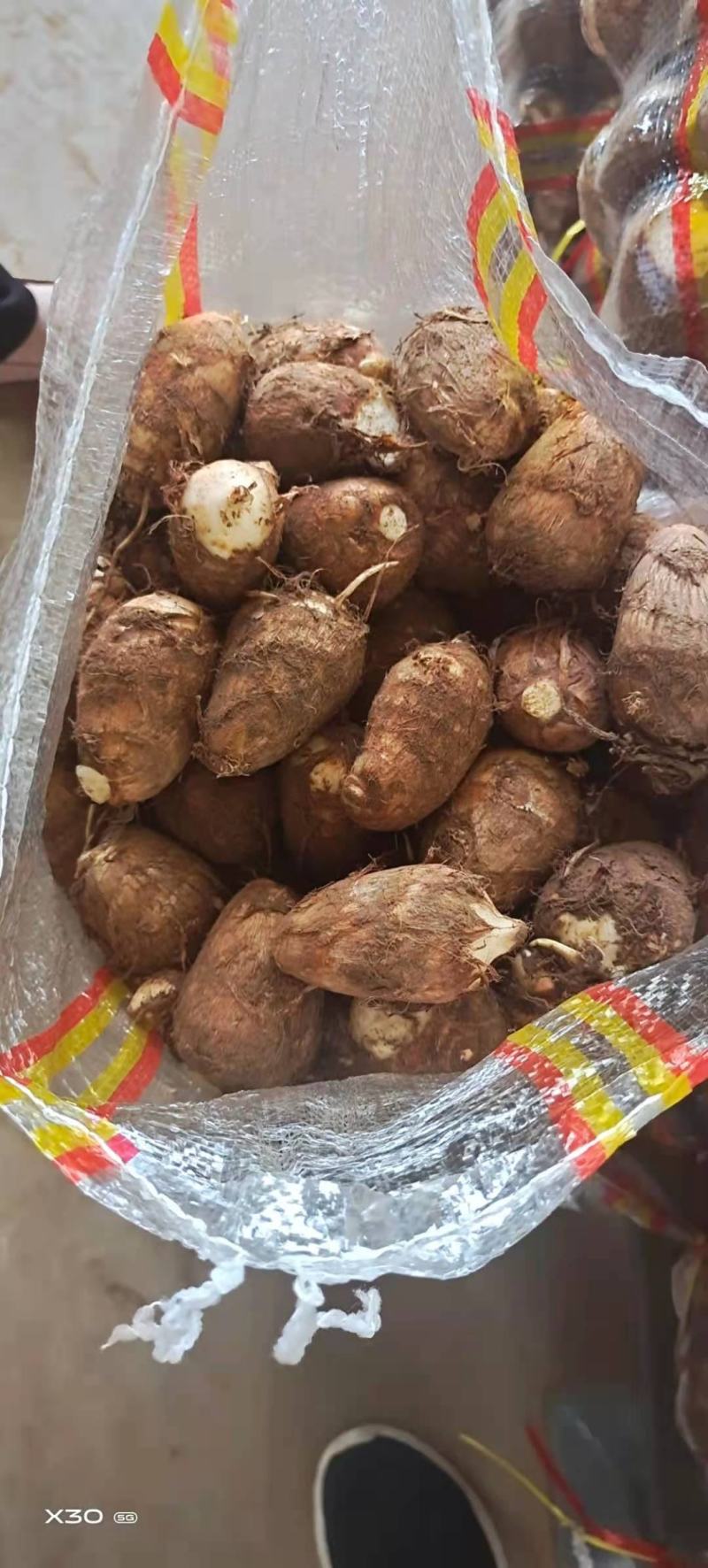 山东芋头大球中球小球二母统货保证质量全国发货