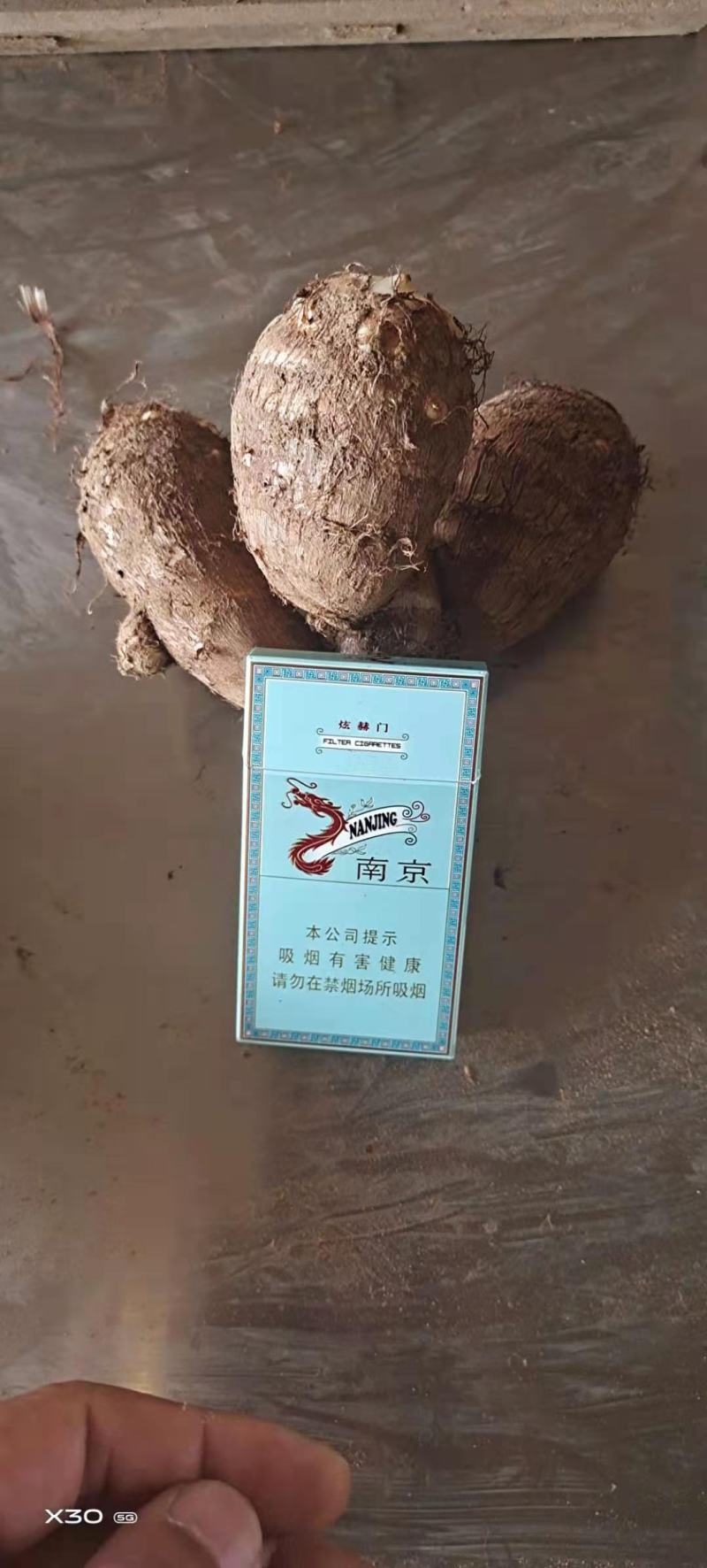 山东芋头大球中球小球二母统货保证质量全国发货