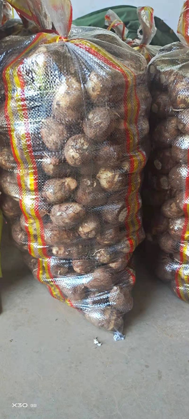 山东芋头大球中球小球二母统货保证质量全国发货