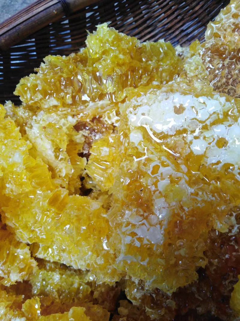 高山百花蜜，正中土蜂蜜，都是自己养的，黑熊都在吃你怕啥，