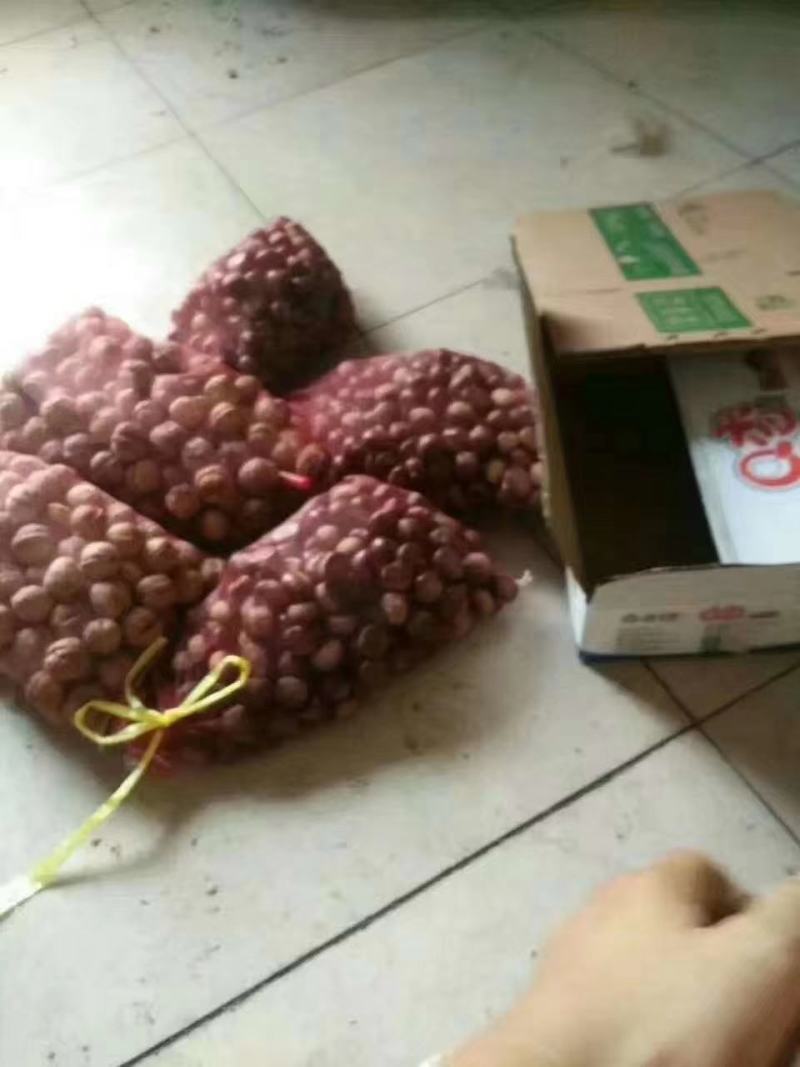 山东油栗，黄糯香甜油栗，炒货专用，代收代发电商微商，社区团购