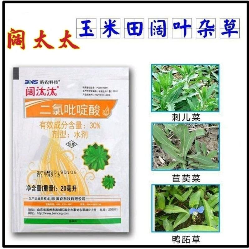 30%二氯吡啶酸油菜玉米阔叶杂草除草剂刺儿菜鬼针草除