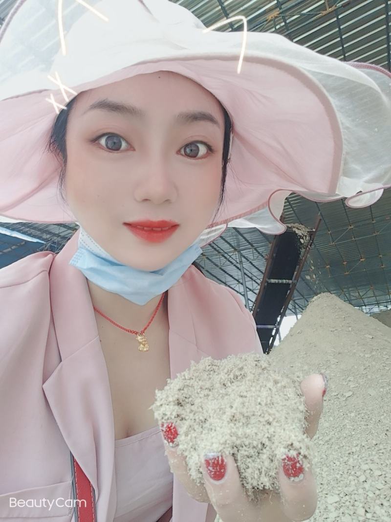 甘蔗渣