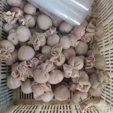 肚包肉，肚包脑，一手货源，可定制，一斤三；四个，质量保证