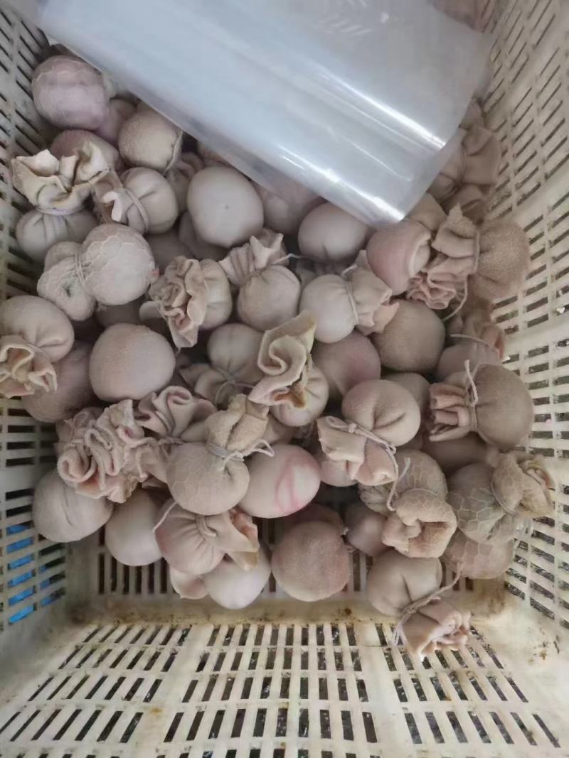 肚包肉，肚包脑，一手货源，可定制，一斤三；四个，质量保证