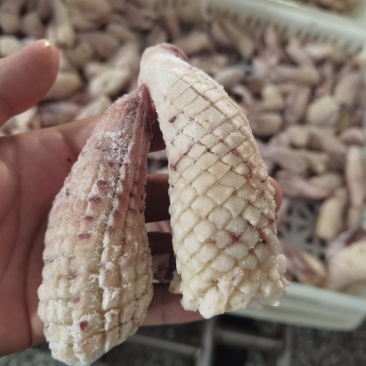 鱿鱼尾花，经济实惠电商好产品