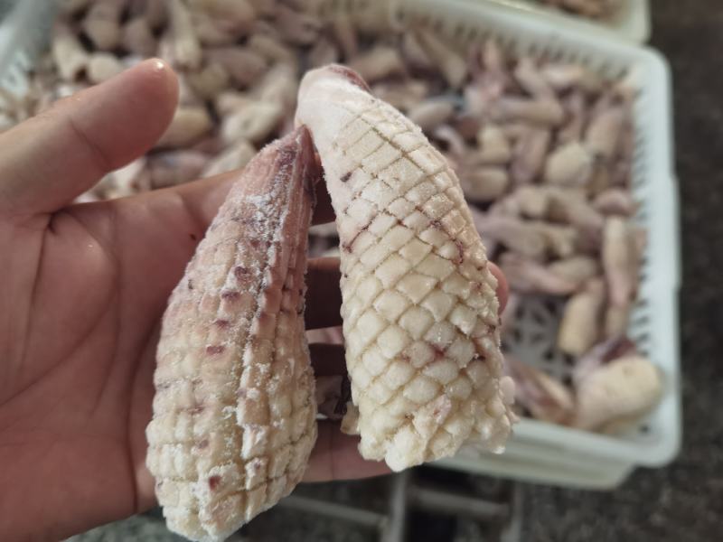 鱿鱼尾花，经济实惠电商好产品