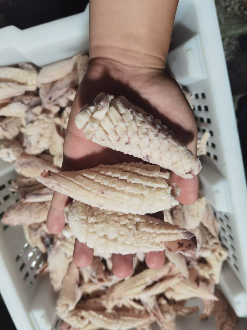 鱿鱼尾花，经济实惠电商好产品