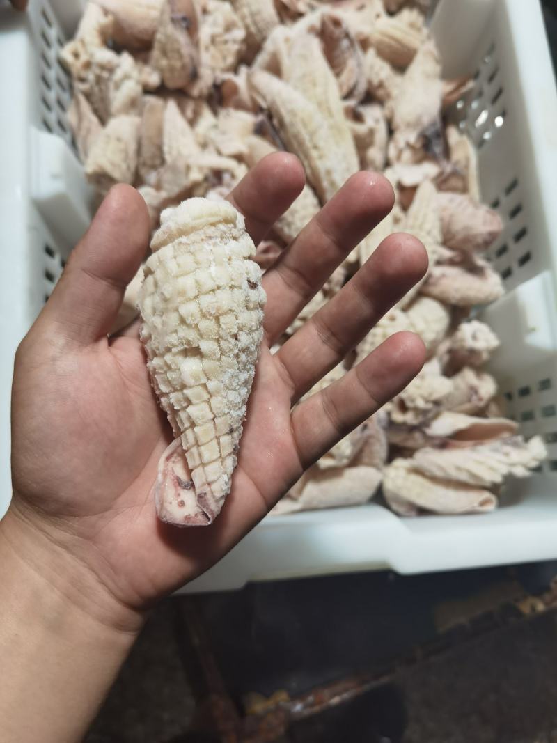 鱿鱼尾花，经济实惠电商好产品