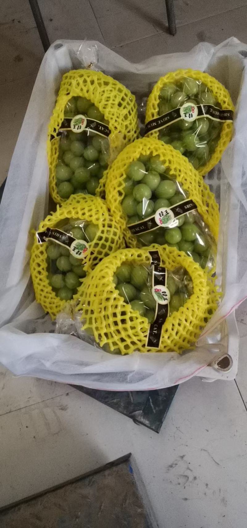 鲁山县阳光玫瑰葡萄热销中