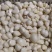 2026年新蒜蒜米蒜肉蒜泥料工厂用蒜米，市场用蒜米