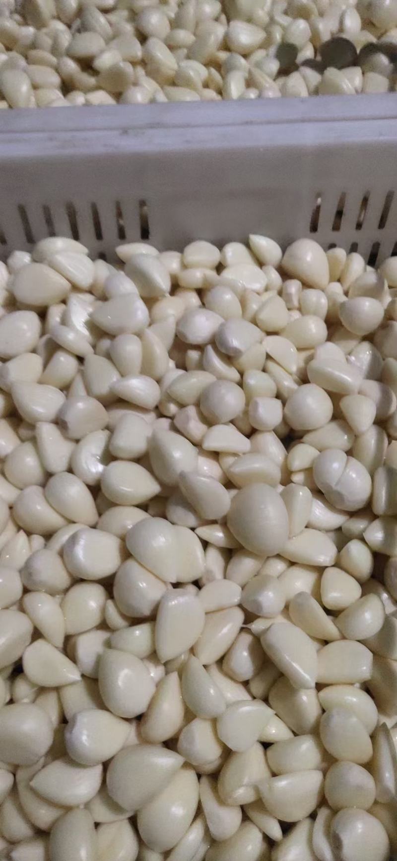 2026年新蒜蒜米蒜肉蒜泥料工厂用蒜米，市场用蒜米