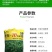 牧草种子多年生黑麦草种子四季种植养高产耐寒冬牧70种子