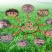 牧草种子多年生黑麦草种子四季种植养高产耐寒冬牧70种子