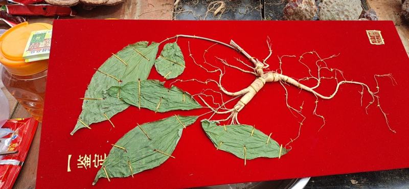 野生的山参，8克左右微残，没有品相要用价值高，适合自己配