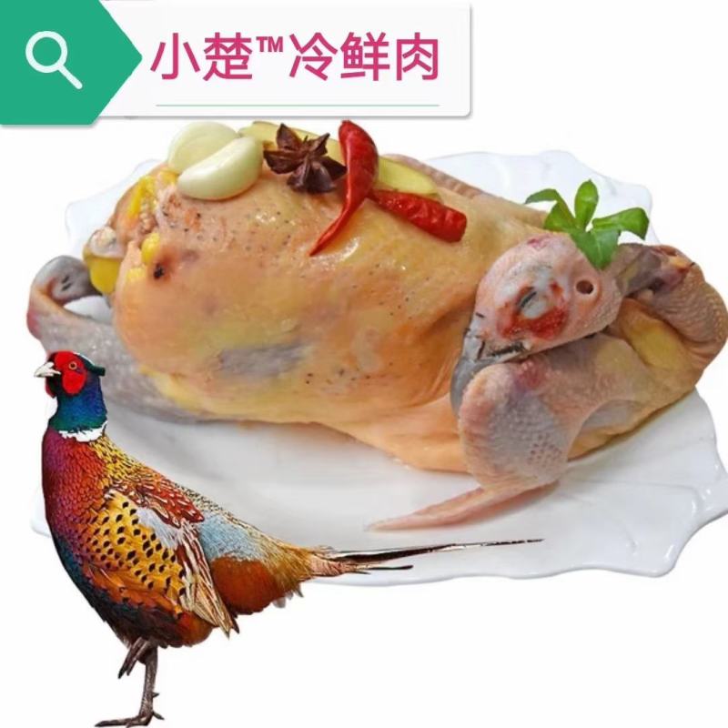 七彩散养野山鸡（白条公鸡）环颈椎