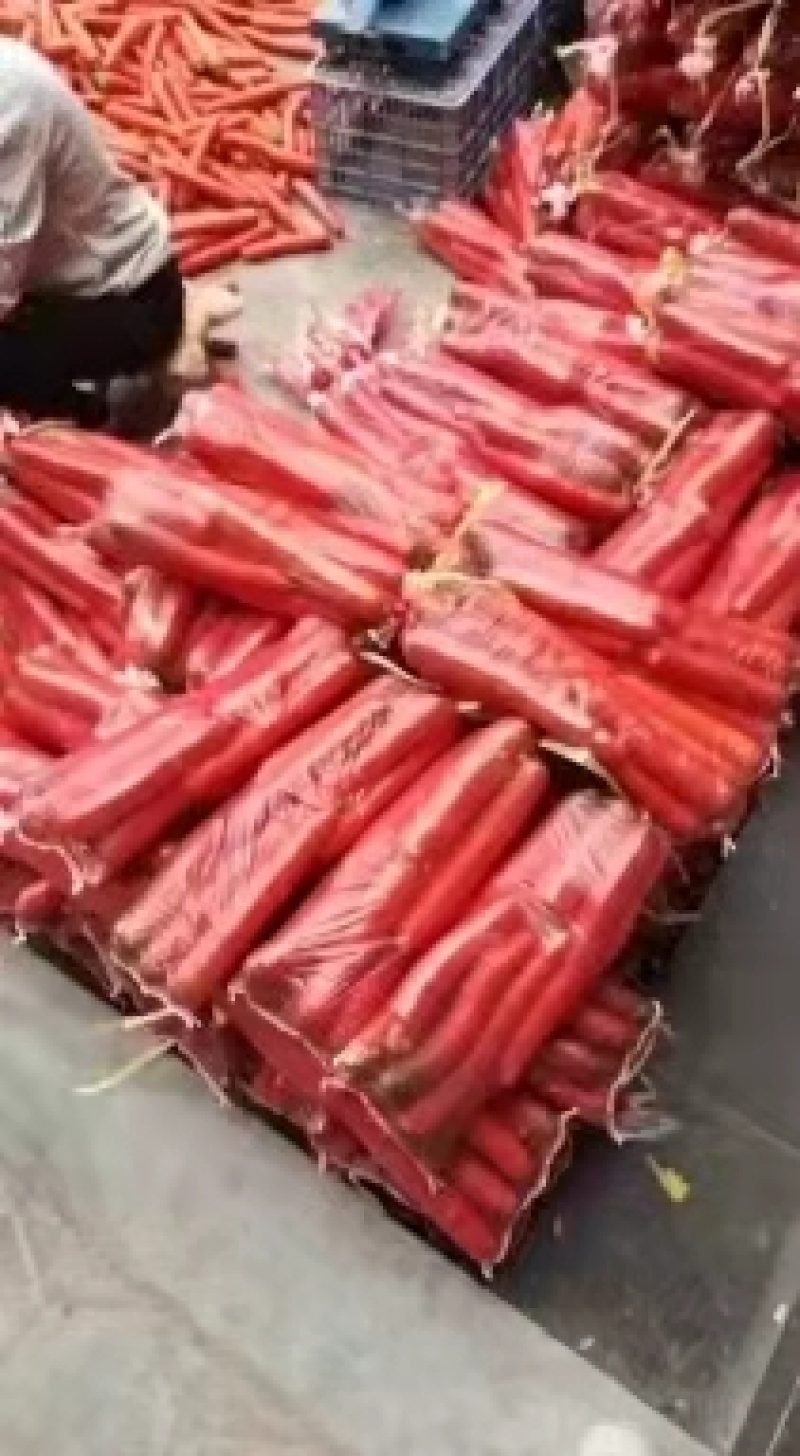 大荔胡萝卜小代货好，量大优惠，诚信经营，全国发货