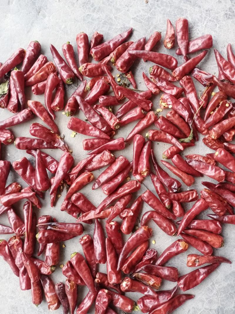 子弹头辣椒2~5厘米中辣红有下通货，