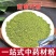 中药材甜菊叶粉甜叶菊现磨粉包邮送量勺