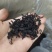 大红袍黑茶浓香大红袍熟茶武夷岩茶贡茶大红袍红茶1斤