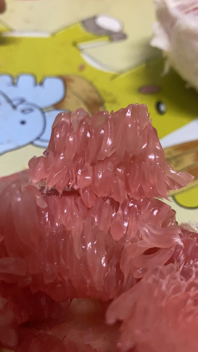 广东梅州产地直供红心三红白肉蜜50斤1/袋