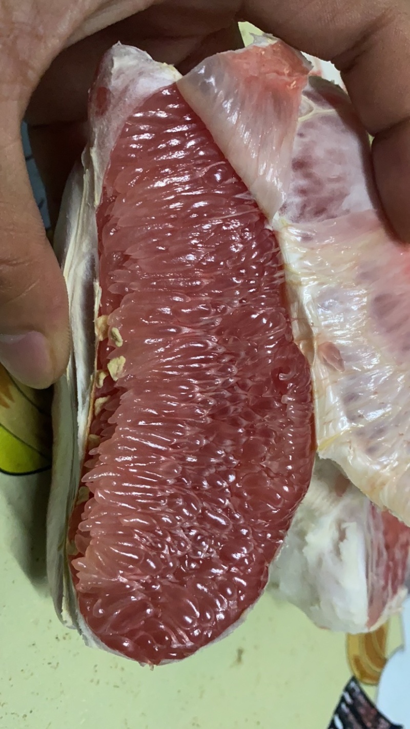 广东梅州产地直供红心三红白肉蜜50斤1/袋