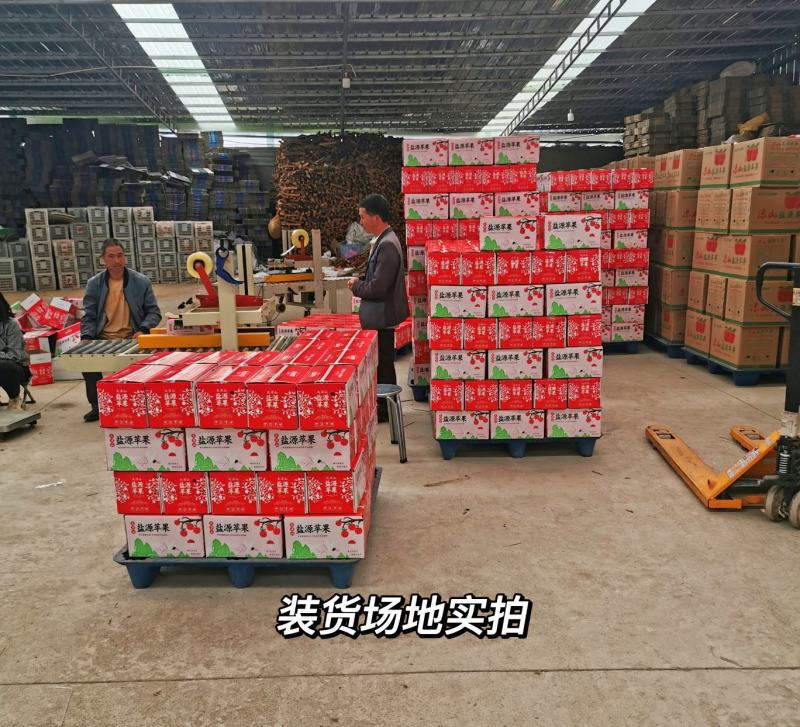 【丑苹果】大凉山盐源糖心丑苹果供应全国批发欢迎来电订购