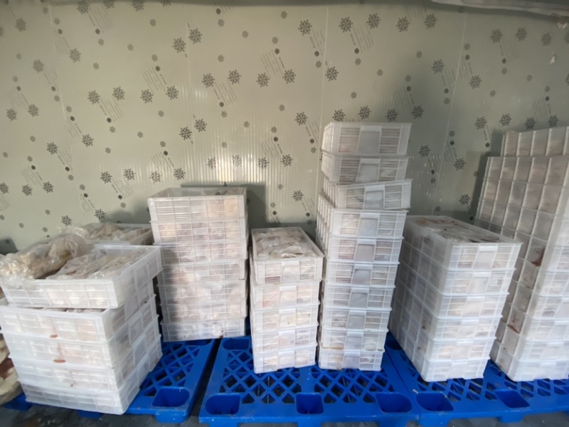 精品鹅体可预订现杀量大价优欢迎新老客户选购