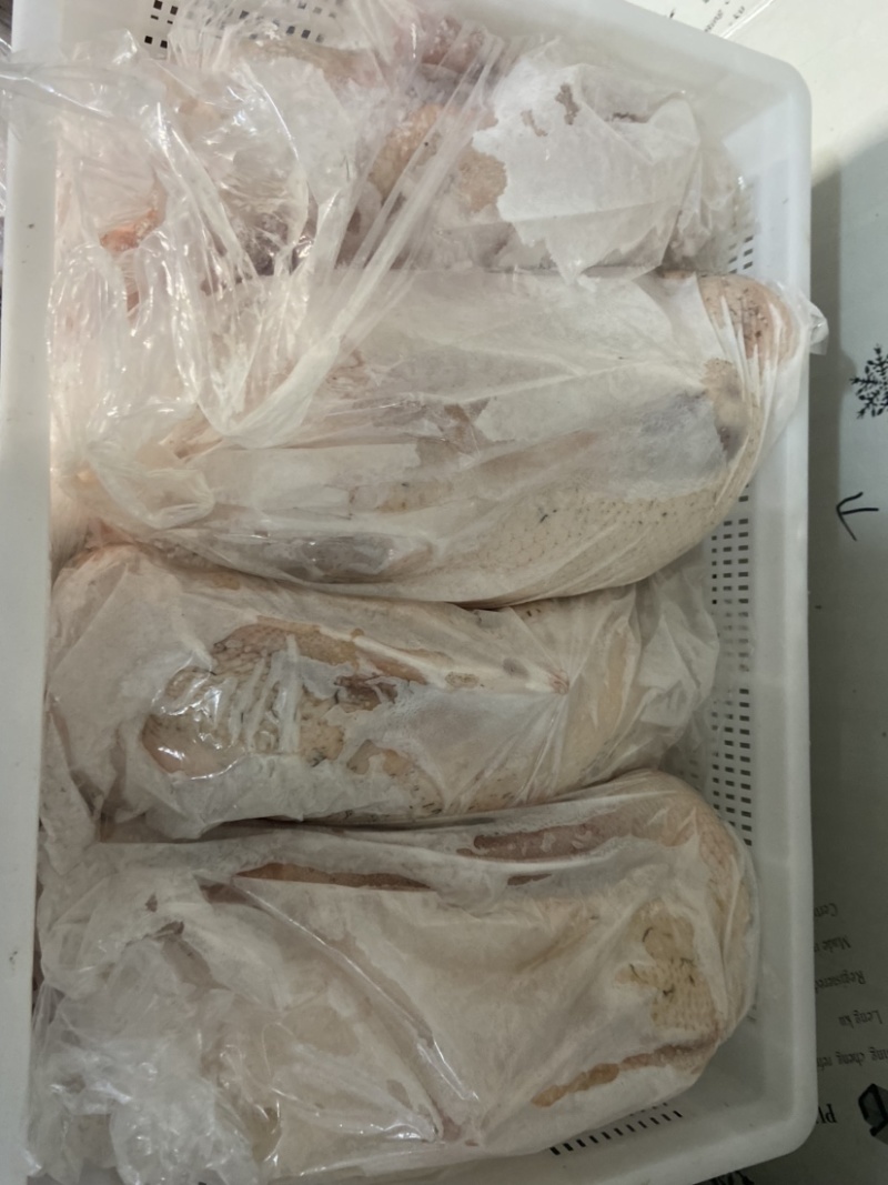 精品鹅体可预订现杀量大价优欢迎新老客户选购