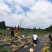 防草布农用除草布果园抗老化果树耐用地膜透气保湿园艺地布盖