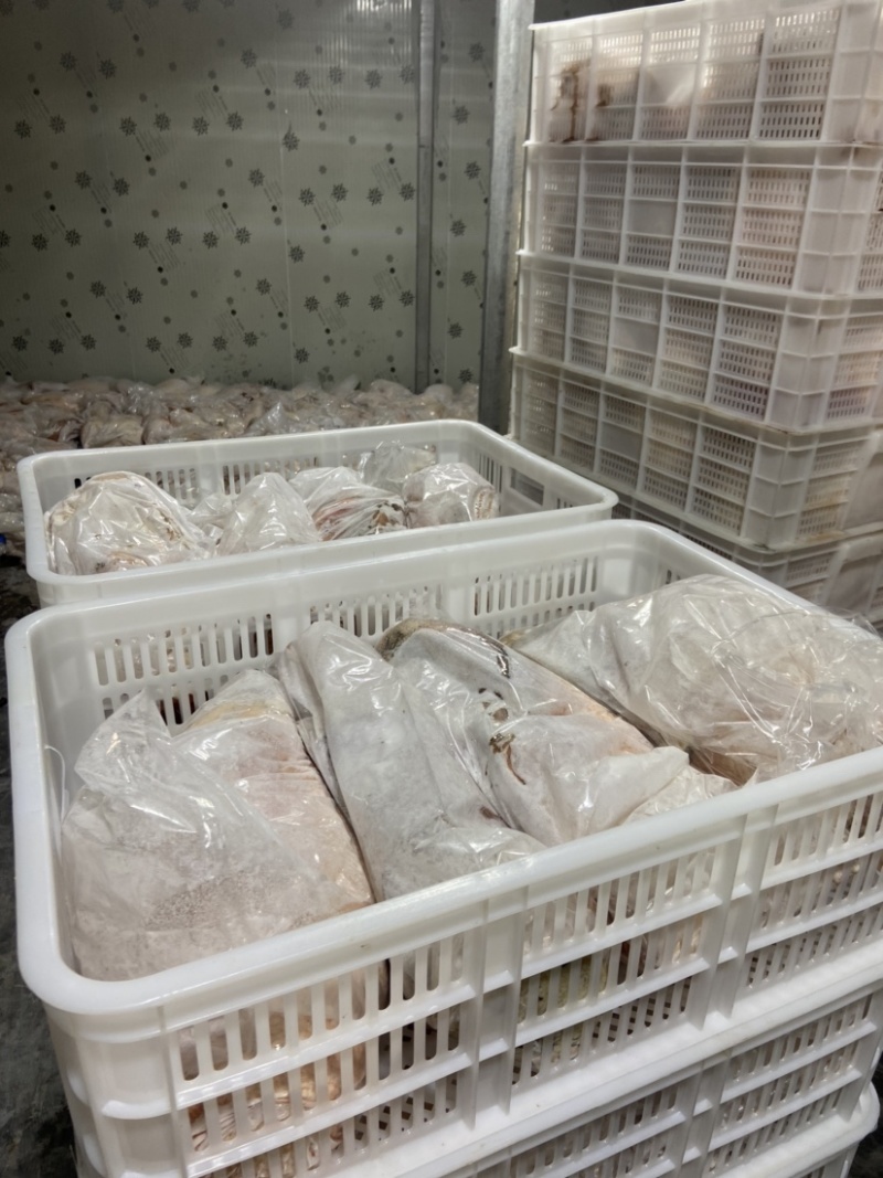 精品鹅体可预订现杀量大价优欢迎新老客户选购