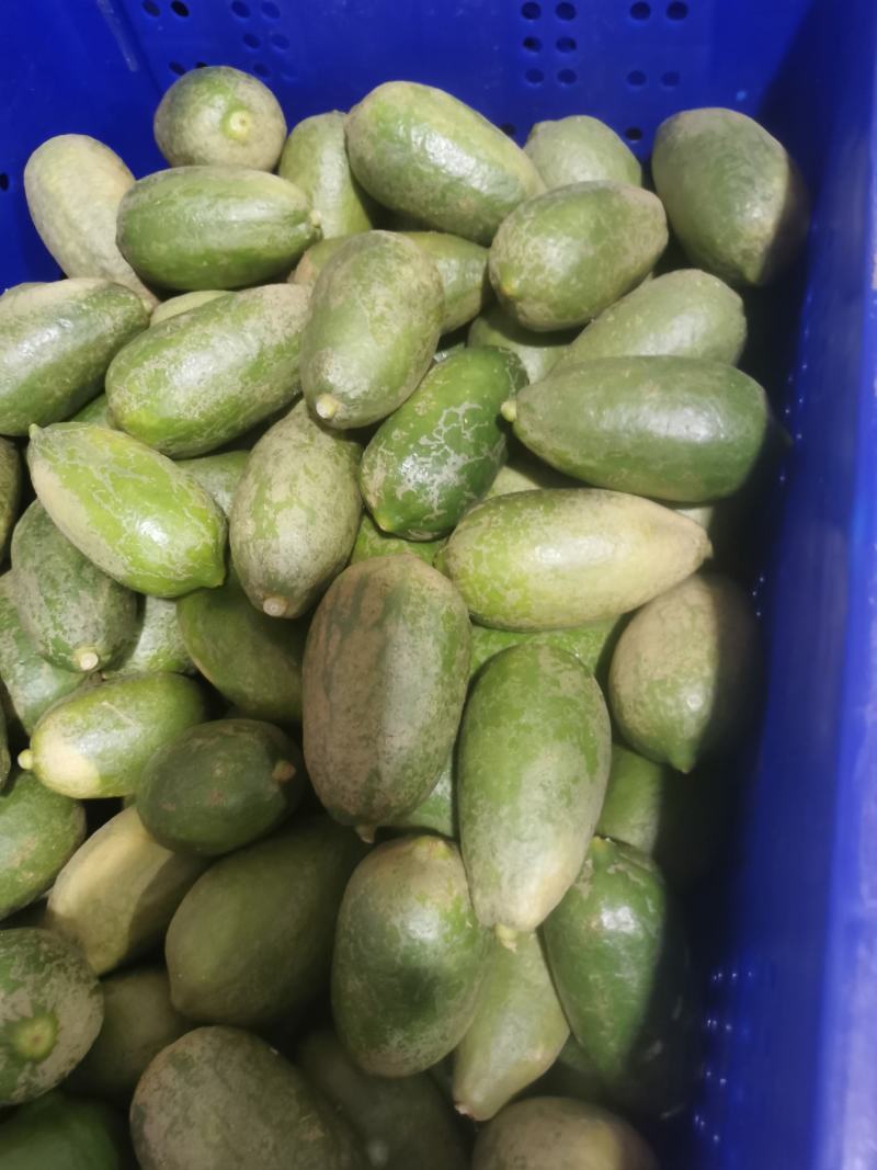香水柠檬
