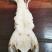 爬爬虾濑尿虾皮皮虾(6-8只/斤约16-20cm)