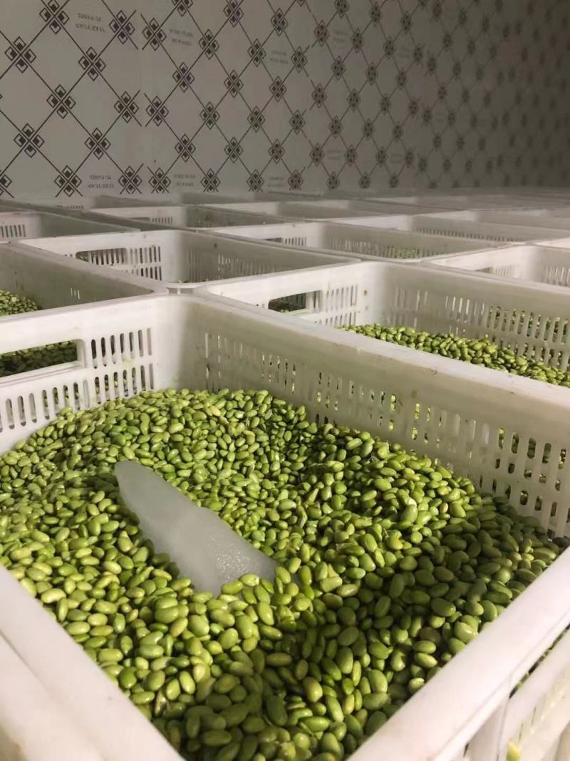 大量供应鲜毛豆仁，毛豆米，毛豆粒，加工厂，市场