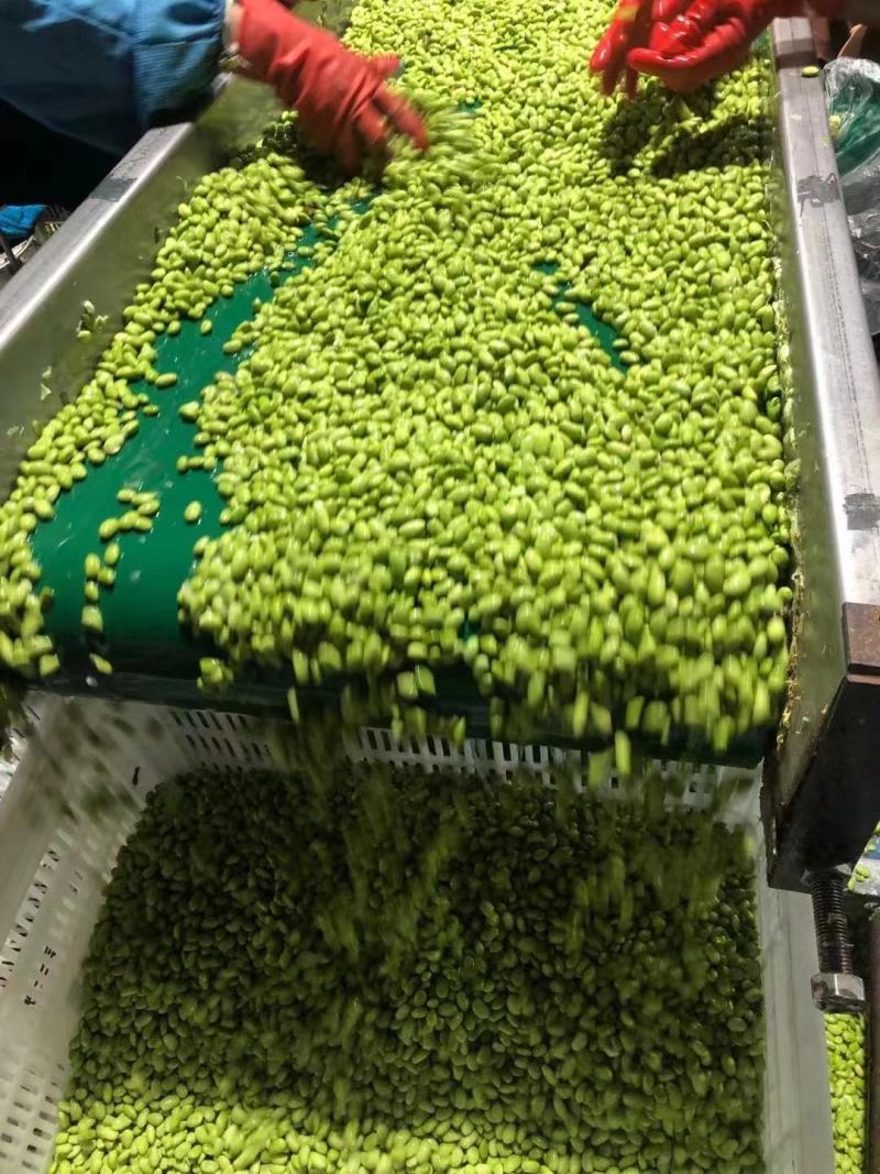 大量供应优质毛豆仁，毛豆米，新鲜毛豆米