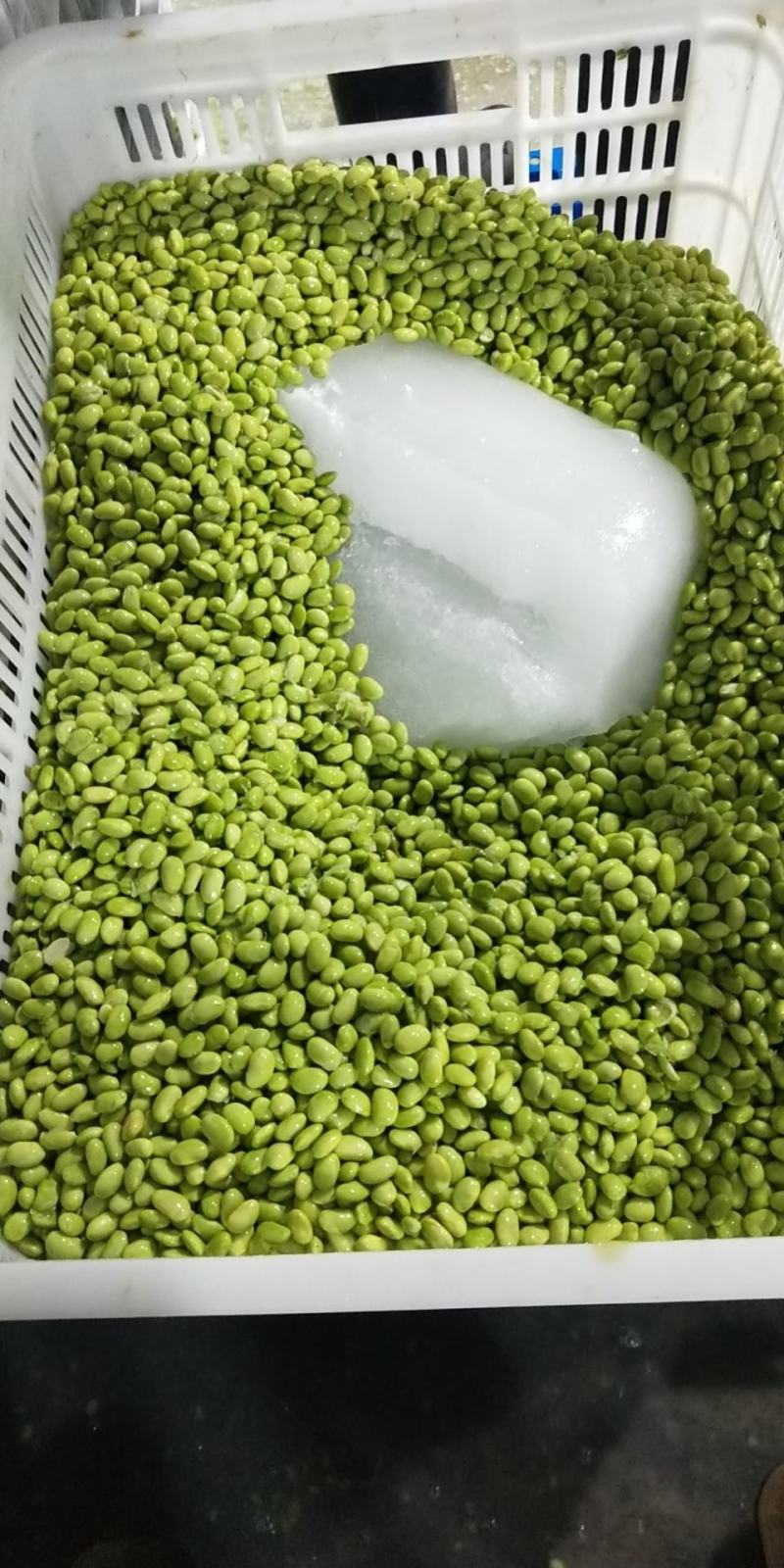 大量供应优质毛豆仁，毛豆米，新鲜毛豆米
