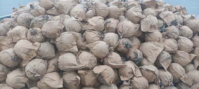 原装代皇冠一级梨价格超低果面超好口感超级甜