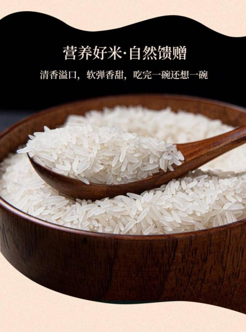 一件代发随州香稻天然农产品稻花香米再生稻丝苗大米香米长粒