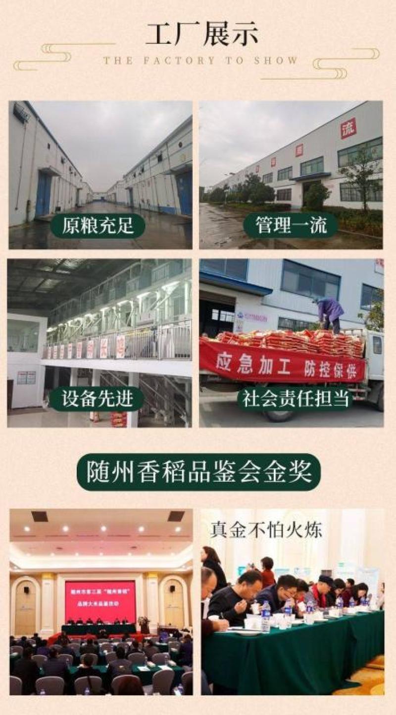 一件代发随州香稻天然农产品稻花香米再生稻丝苗大米香米长粒