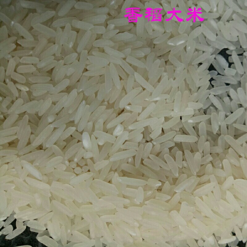 一件代发随州香稻天然农产品稻花香米再生稻丝苗大米香米长粒