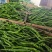 【推荐】陕西渭南精品线椒产地直供现货批发欢迎来电咨询